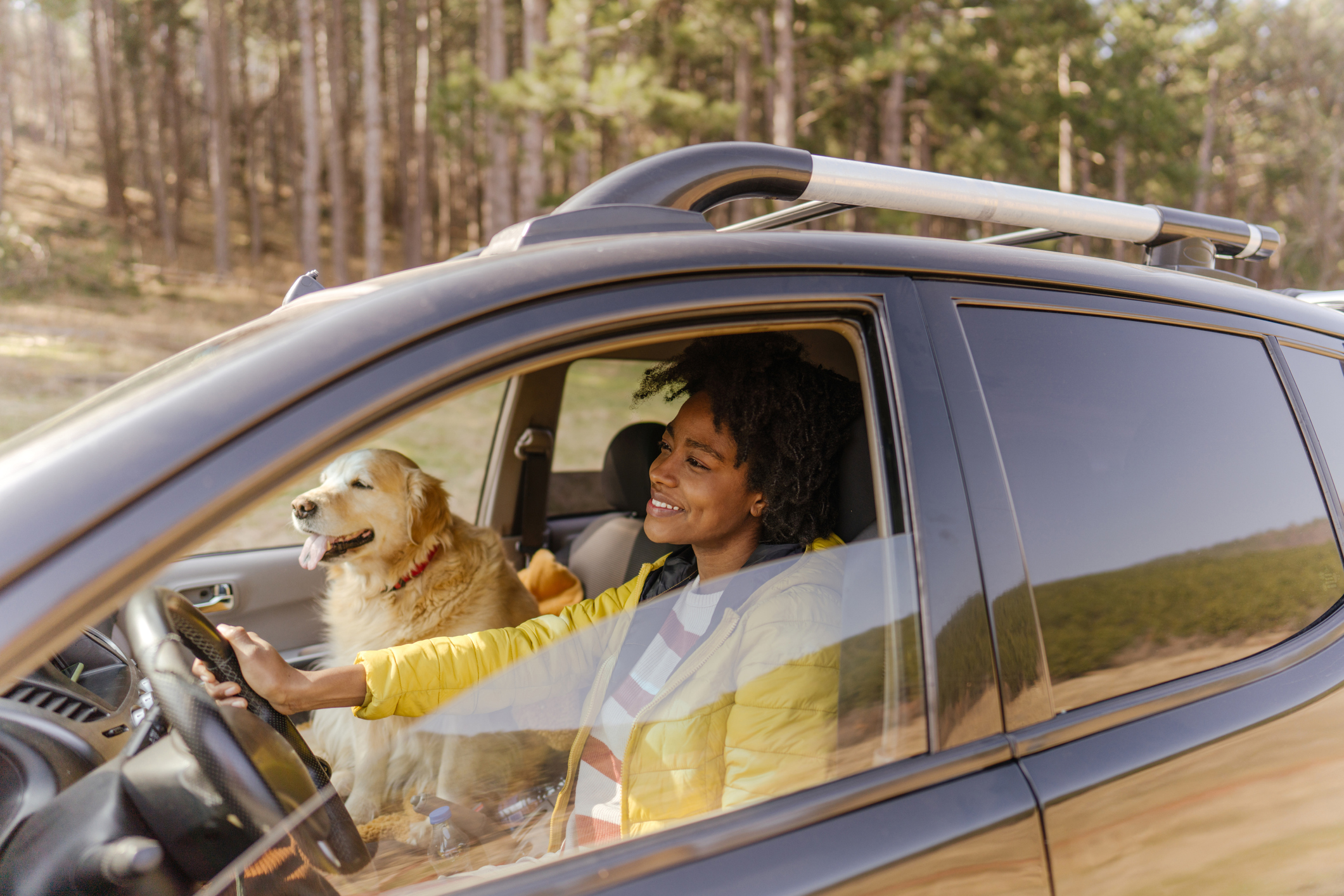 Hund im Auto transportieren: Was muss ich wissen?